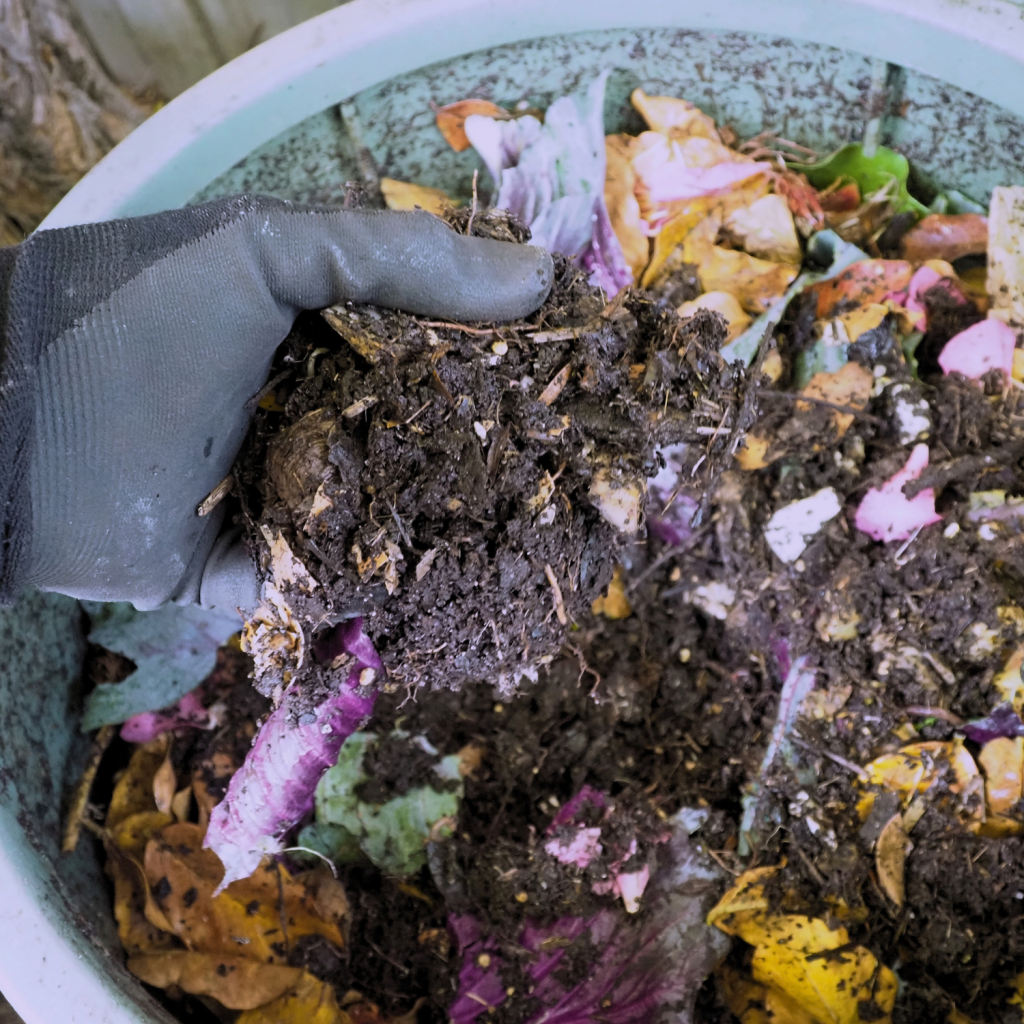 Turn food scraps into valuable garden compost with worms. 